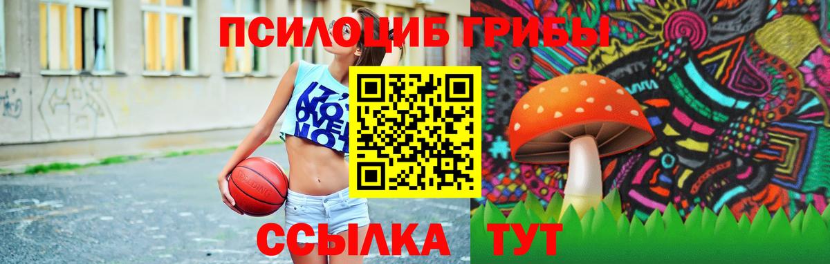 Псилоцибиновые грибы Cubensis  Вход с VPN  Янаул 