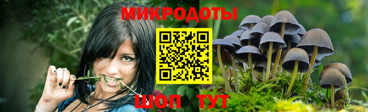 Галлюциногенные грибы Magic Shrooms Янаул